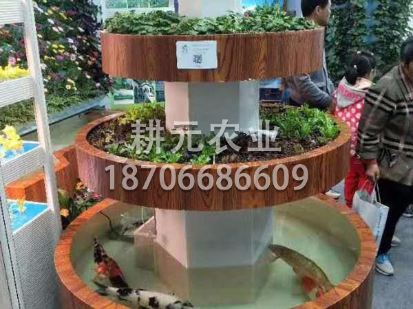 什么是魚菜共生設備